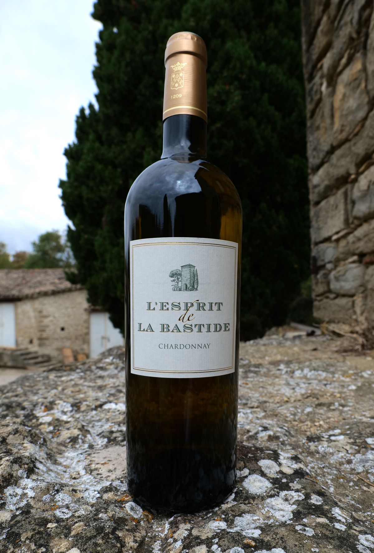 L’Esprit Blanc 2016 Chardonnay – Image 5