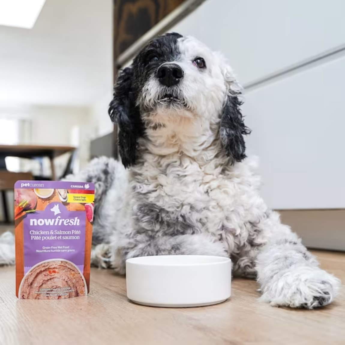 Nourriture Humide de Poulet et Saumon en Pâté Sans Grains pour Chiens Âgés, 79g – Now Fresh – Image 4