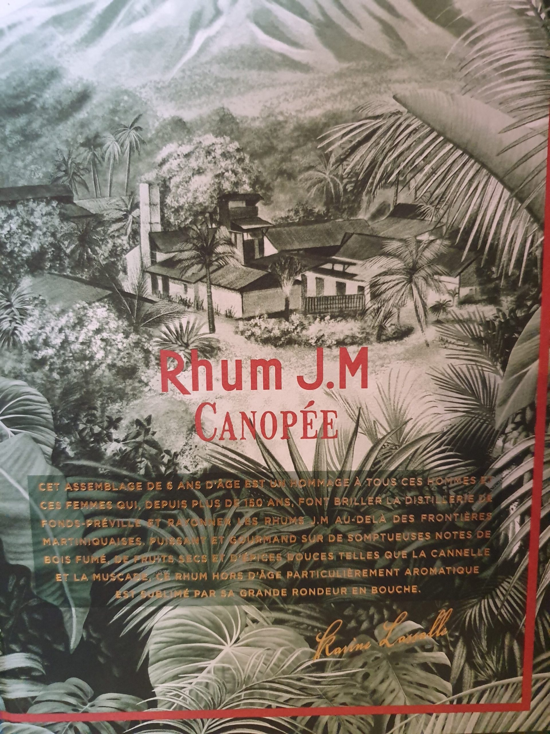 RHUM VIEUX JM 70 CL 46° CARAFE CANOPEE – Image 3