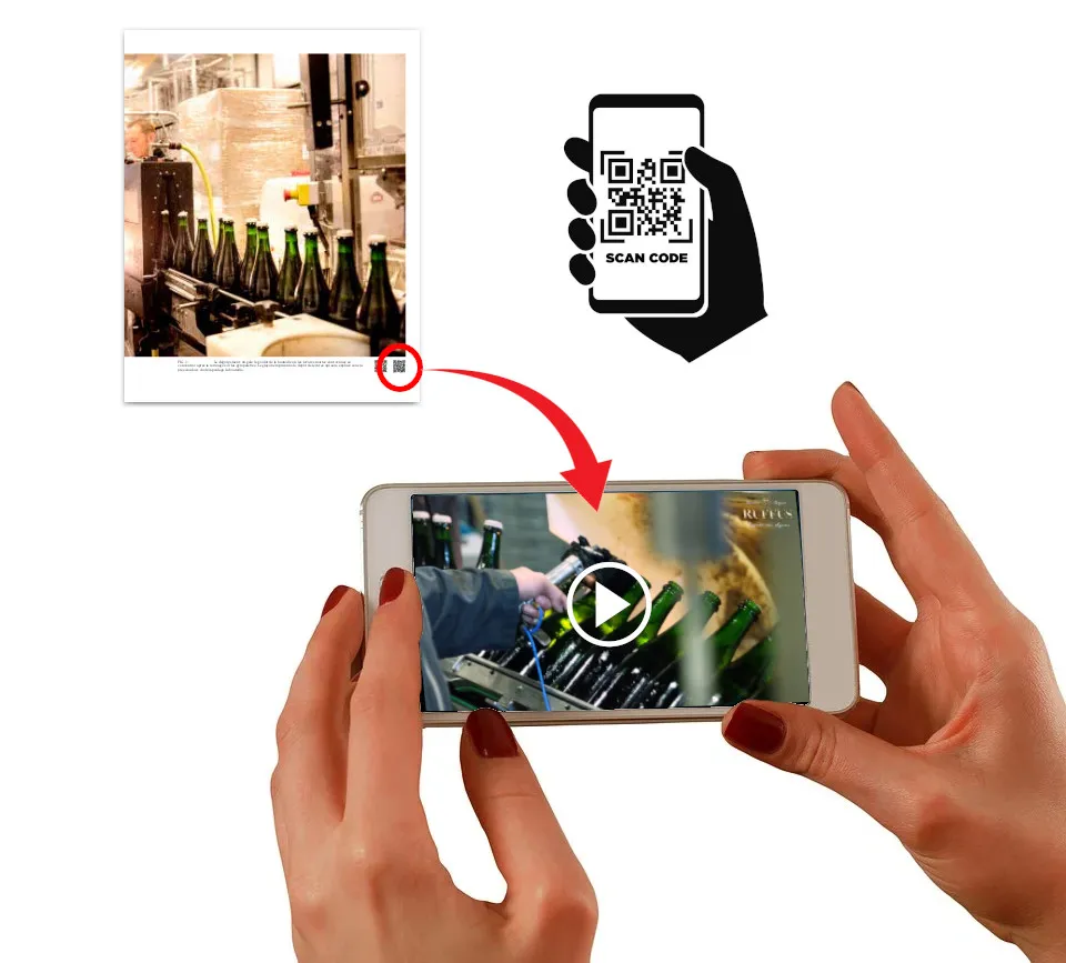 Livre: Ruffus, une histoire belge – Image 7